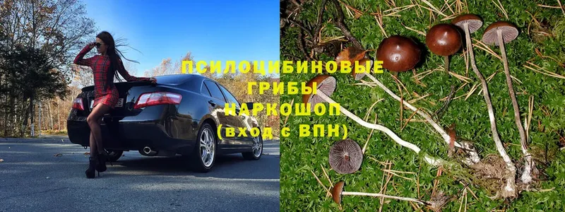 Галлюциногенные грибы Magic Shrooms  Краснокамск 